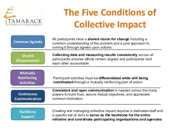 The Five Conditions of Collective Impact Common Agenda Shared Measurement