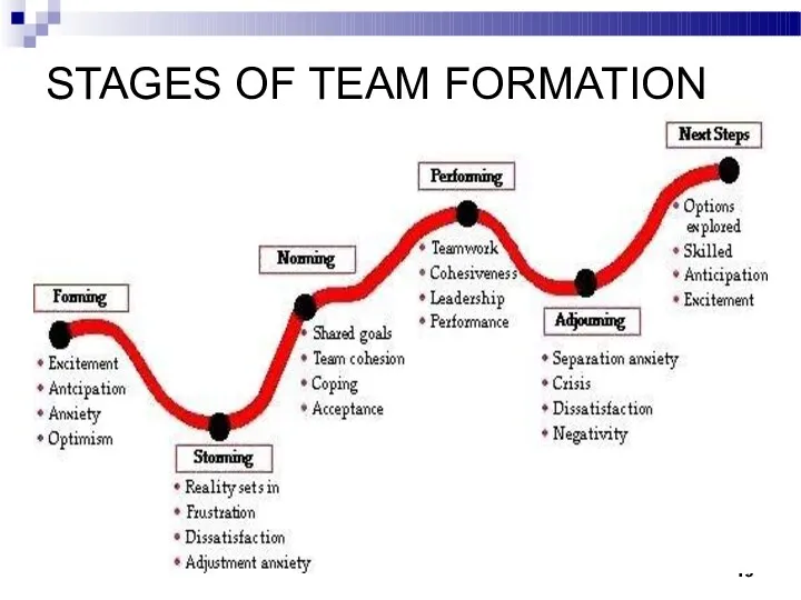 19 STAGES OF TEAM FORMATION