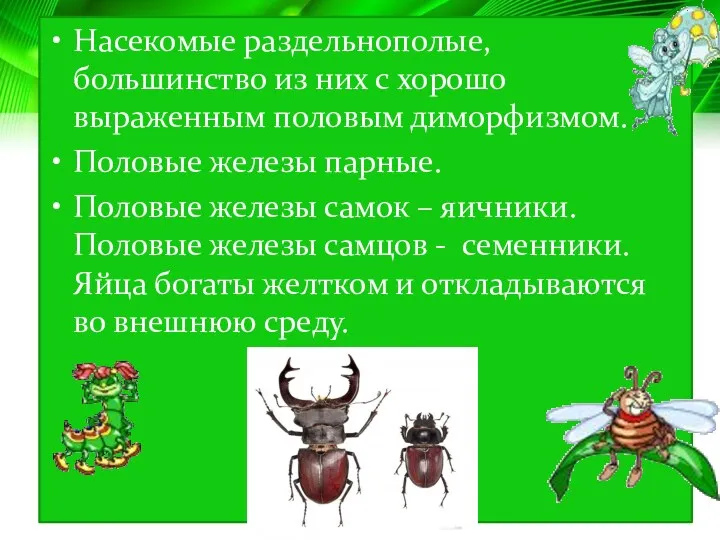 Насекомые раздельнополые, большинство из них с хорошо выраженным половым диморфизмом.