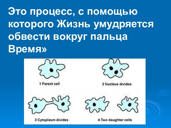 Это процесс, с помощью которого Жизнь умудряется обвести вокруг пальца Время»