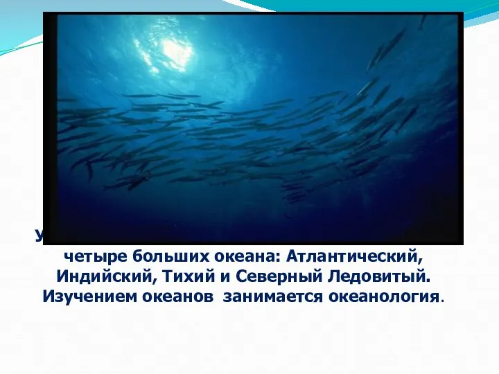 Ученые разделяют мировой водный бассейн на четыре больших океана: Атлантический,