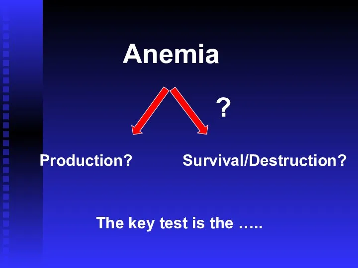 Anemia Production? Survival/Destruction? The key test is the ….. ?