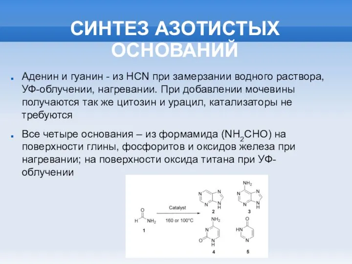 СИНТЕЗ АЗОТИСТЫХ ОСНОВАНИЙ Аденин и гуанин - из HCN при замерзании водного раствора,