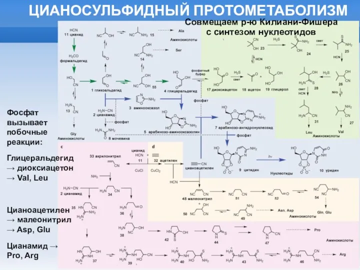 ЦИАНОСУЛЬФИДНЫЙ ПРОТОМЕТАБОЛИЗМ Фосфат вызывает побочные реакции: Глицеральдегид → диоксиацетон → Val, Leu Цианоацетилен