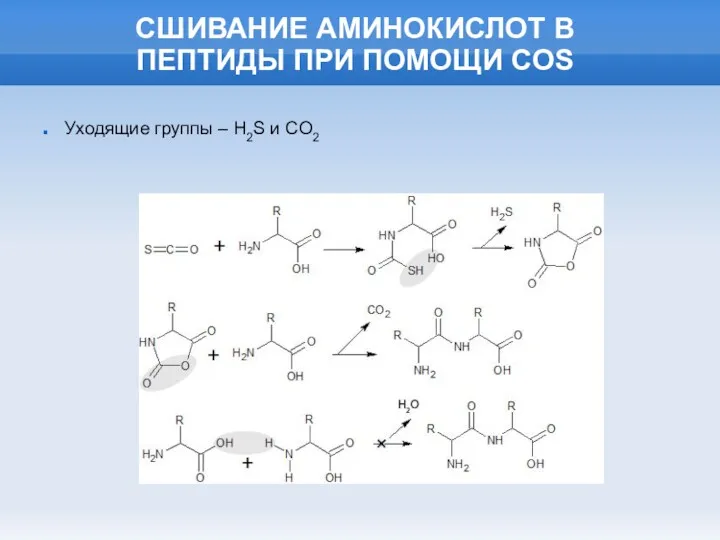 СШИВАНИЕ АМИНОКИСЛОТ В ПЕПТИДЫ ПРИ ПОМОЩИ COS Уходящие группы – H2S и CO2