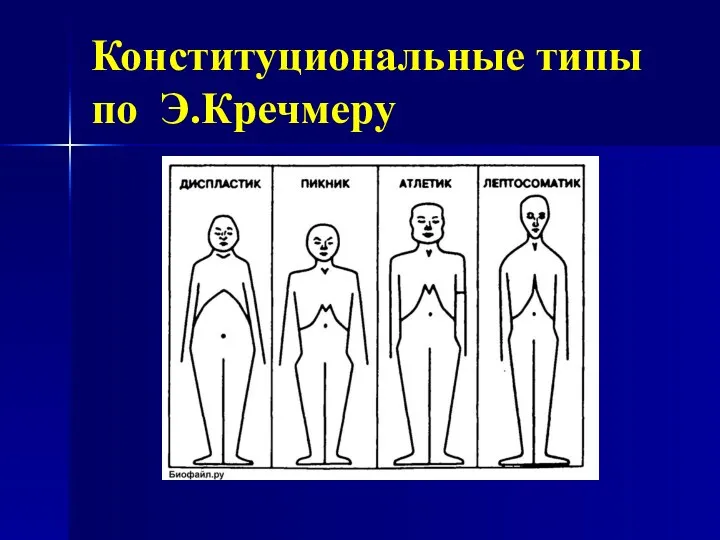 Конституциональные типы по Э.Кречмеру