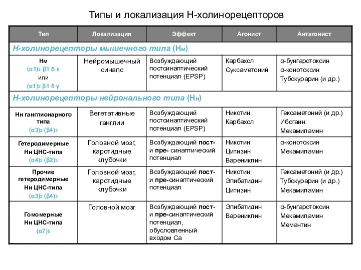 Типы и локализация Н-холинорецепторов