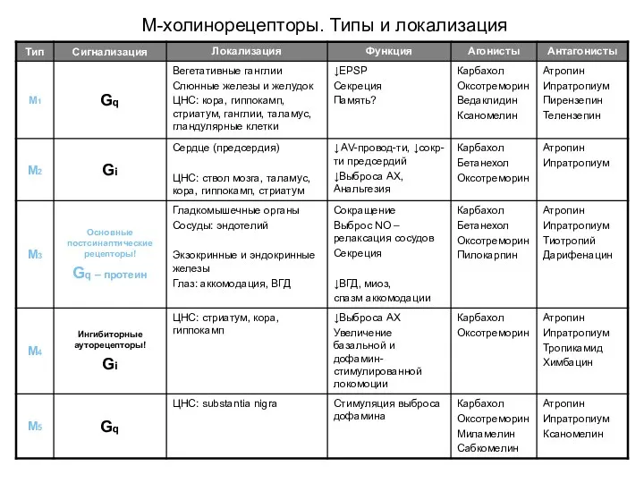 М-холинорецепторы. Типы и локализация