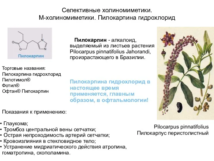 Селективные холиномиметики. М-холиномиметики. Пилокарпина гидрохлорид Пилокарпин - алкалоид, выделяемый из