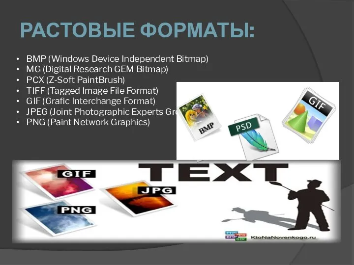 РАСТОВЫЕ ФОРМАТЫ: BMP (Windows Device Independent Bitmap) MG (Digital Research