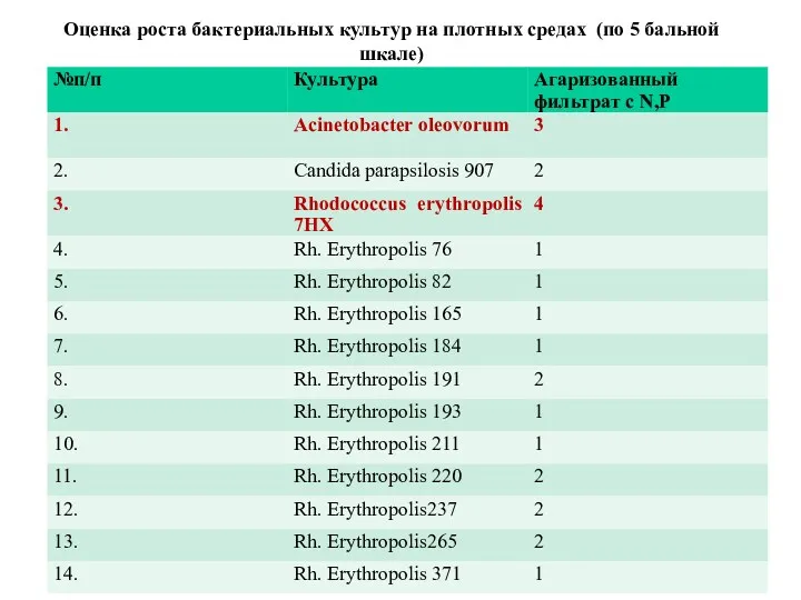 Оценка роста бактериальных культур на плотных средах (по 5 бальной шкале)