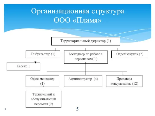 Организационная структура ООО «Пламя» 4