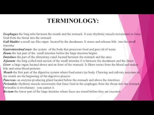 TERMINOLOGY: Esophagus-the long tube between the mouth and the stomach.