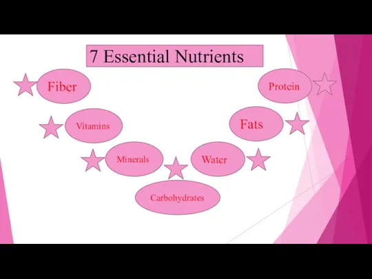 7 Essential Nutrients Fiber Carbohydrates Vitamins Minerals Water Fats Protein