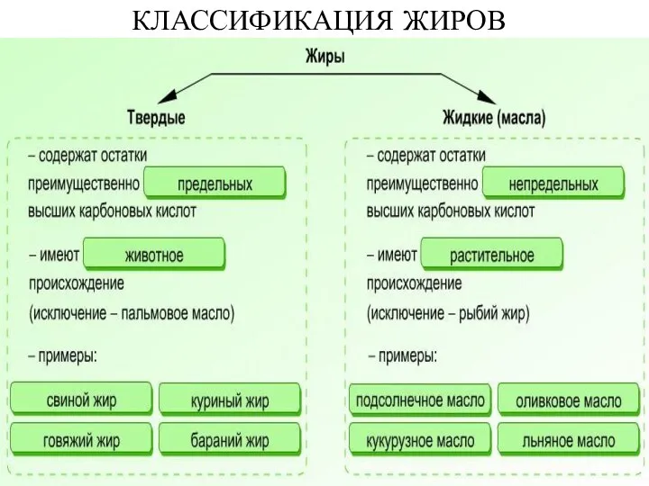 КЛАССИФИКАЦИЯ ЖИРОВ