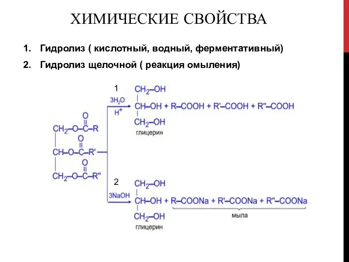 ХИМИЧЕСКИЕ СВОЙСТВА Гидролиз ( кислотный, водный, ферментативный) Гидролиз щелочной ( реакция омыления) 1 2