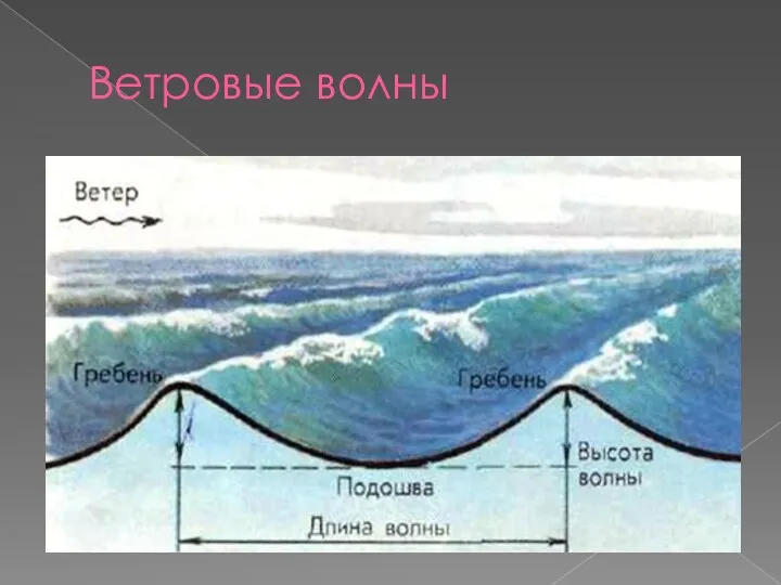 Ветровые волны