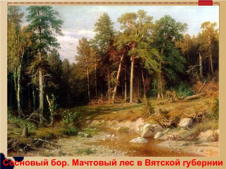 Сосновый бор. Мачтовый лес в Вятской губернии