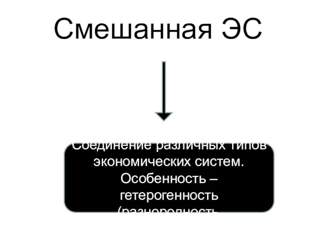 Смешанная ЭС Соединение различных типов экономических систем.Особенность –гетерогенность(разнородность.