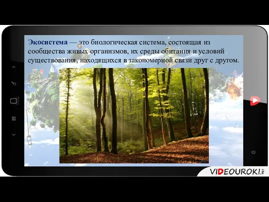 Экосистема — это биологическая система, состоящая из сообщества живых организмов, их среды обитания