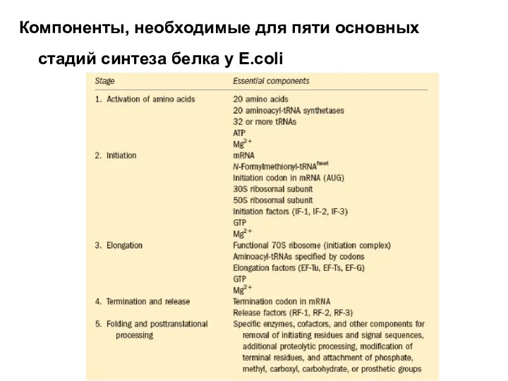 Компоненты, необходимые для пяти основных стадий синтеза белка у E.coli