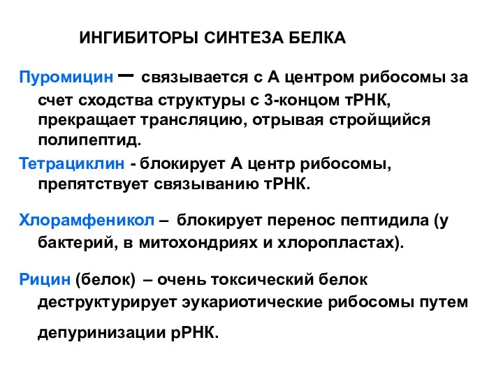 ИНГИБИТОРЫ СИНТЕЗА БЕЛКА Пуромицин – связывается с А центром рибосомы