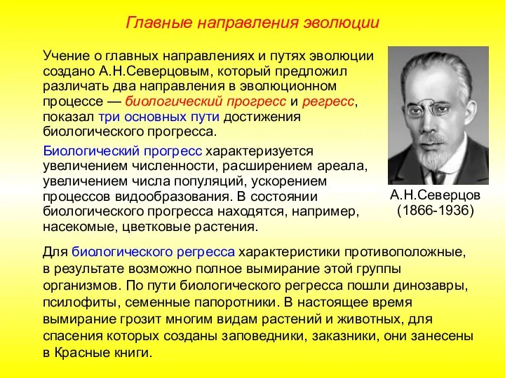 Главные направления эволюции Учение о главных направлениях и путях эволюции