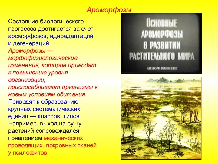 Состояние биологического прогресса достигается за счет ароморфозов, идиоадаптаций и дегенераций.