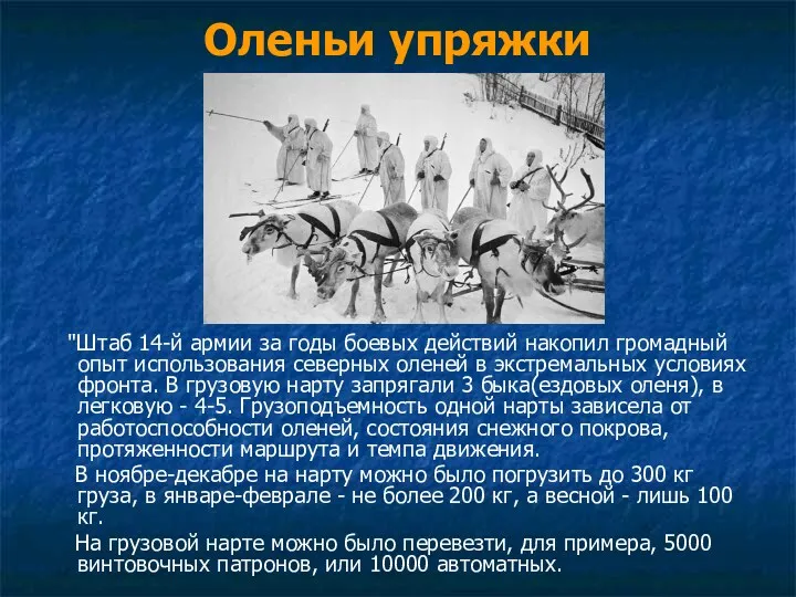 Оленьи упряжки "Штаб 14-й армии за годы боевых действий накопил