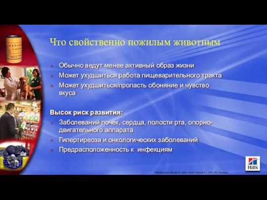 Что свойственно пожилым животным Обычно ведут менее активный образ жизни