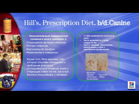 Hill’sTM Prescription DietTM b/dTM Canine Окислительные повреждения головного мозга приводят