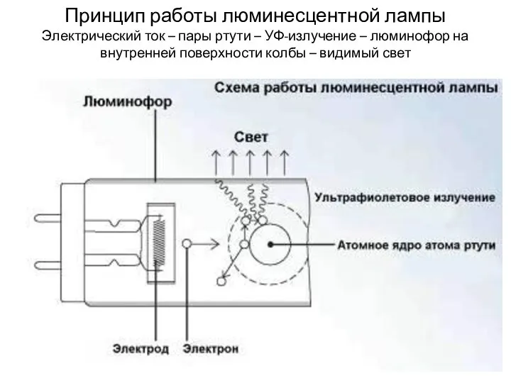 Принцип работы люминесцентной лампы Электрический ток – пары ртути – УФ-излучение – люминофор