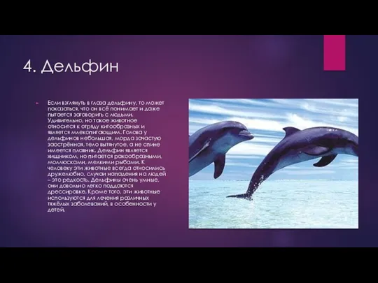 4. Дельфин Если взглянуть в глаза дельфину, то может показаться,