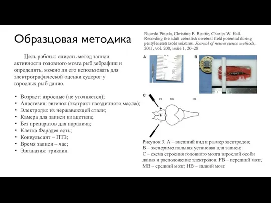 Образцовая методика Ricardo Pineda, Christine E. Beattie, Charles W. Hall.