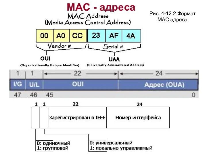 MAC - адреса Рис. 4-12.2 Формат MAC адреса