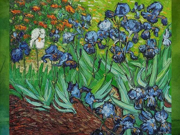 Van Gogh