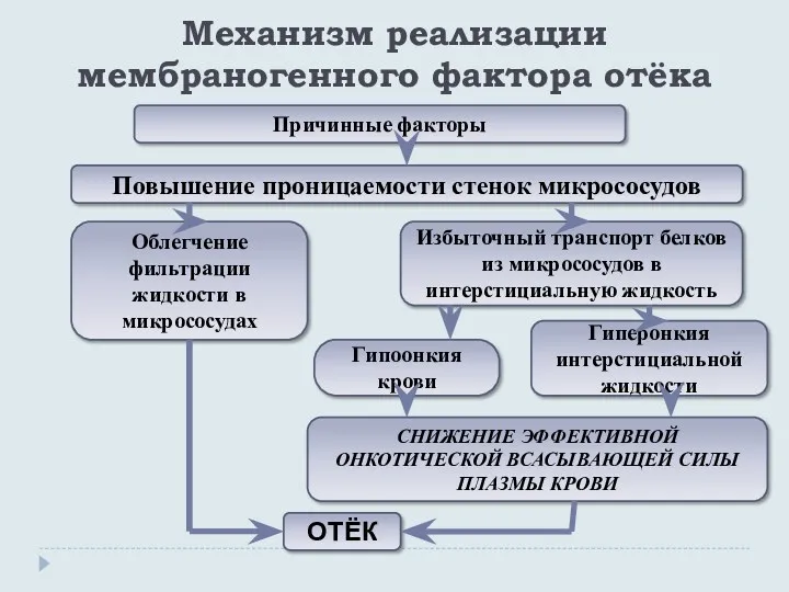 Механизм реализации мембраногенного фактора отёка Причинные факторы Повышение проницаемости стенок