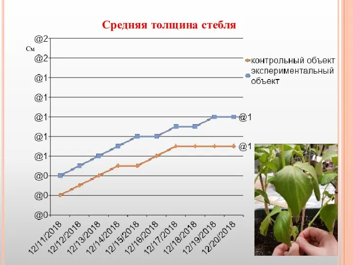 Средняя толщина стебля См