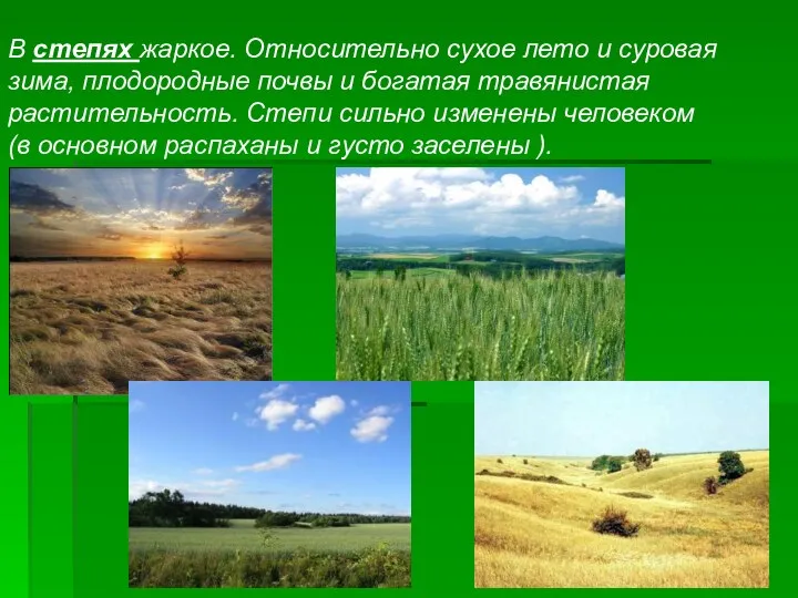 В степях жаркое. Относительно сухое лето и суровая зима, плодородные почвы и богатая