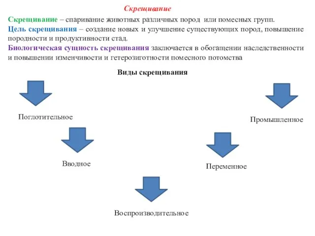 Скрещивание – спаривание животных различных пород или помесных групп. Цель