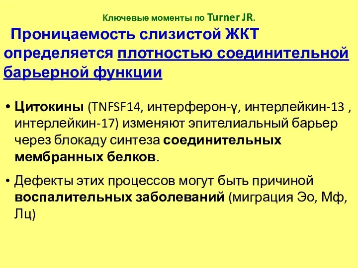 Ключевые моменты по Turner JR. Проницаемость слизистой ЖКТ определяется плотностью