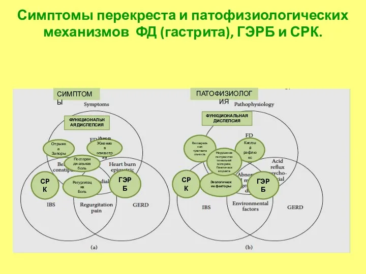 СИМПТОМЫ ПАТОФИЗИОЛОГИЯ ФУНКЦИОНАЛЬНАЯ ДИСПЕПСИЯ ФУНКЦИОНАЛЬНАЯ ДИСПЕПСИЯ Отрыжка Запоры СРК ГЭРБ