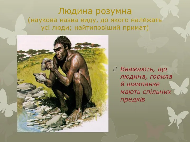 Людина розумна (наукова назва виду, до якого належать усі люди; найтиповіший примат) Вважають,