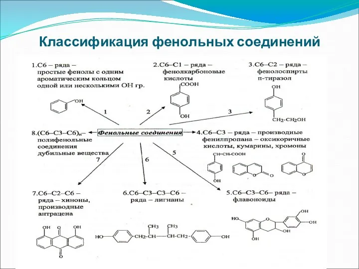 Классификация фенольных соединений