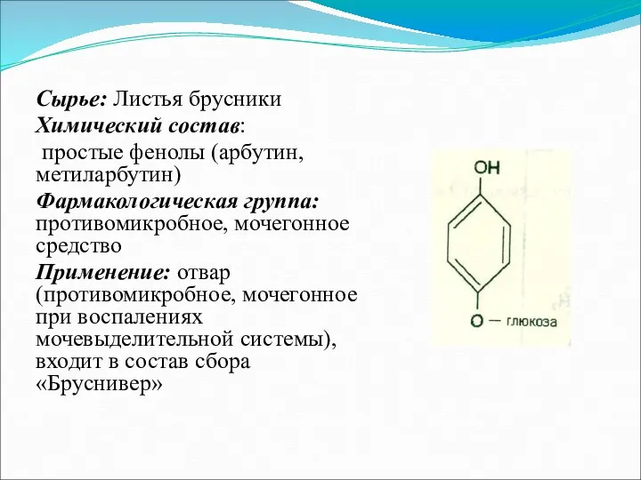 Сырье: Листья брусники Химический состав: простые фенолы (арбутин, метиларбутин) Фармакологическая
