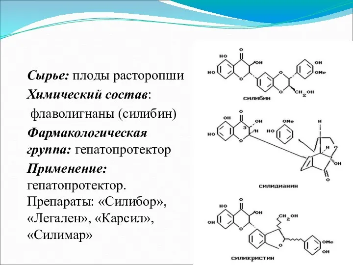 Сырье: плоды расторопши Химический состав: флаволигнаны (силибин) Фармакологическая группа: гепатопротектор