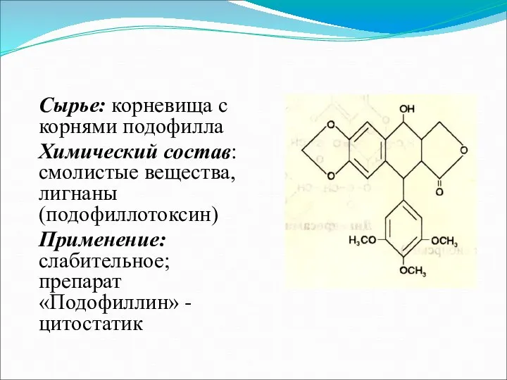 Сырье: корневища c корнями подофилла Химический состав: смолистые вещества, лигнаны