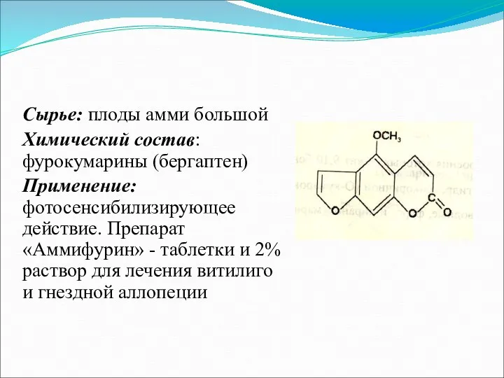 Сырье: плоды амми большой Химический состав: фурокумарины (бергаптен) Применение: фотосенсибилизирующее