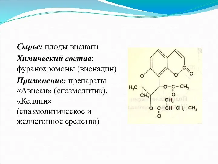 Сырье: плоды виснаги Химический состав: фуранохромоны (виснадин) Применение: препараты «Ависан» (спазмолитик), «Келлин» (спазмолитическое и желчегонное средство)