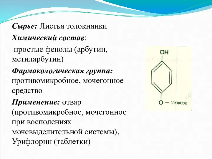 Сырье: Листья толокнянки Химический состав: простые фенолы (арбутин, метиларбутин) Фармакологическая
